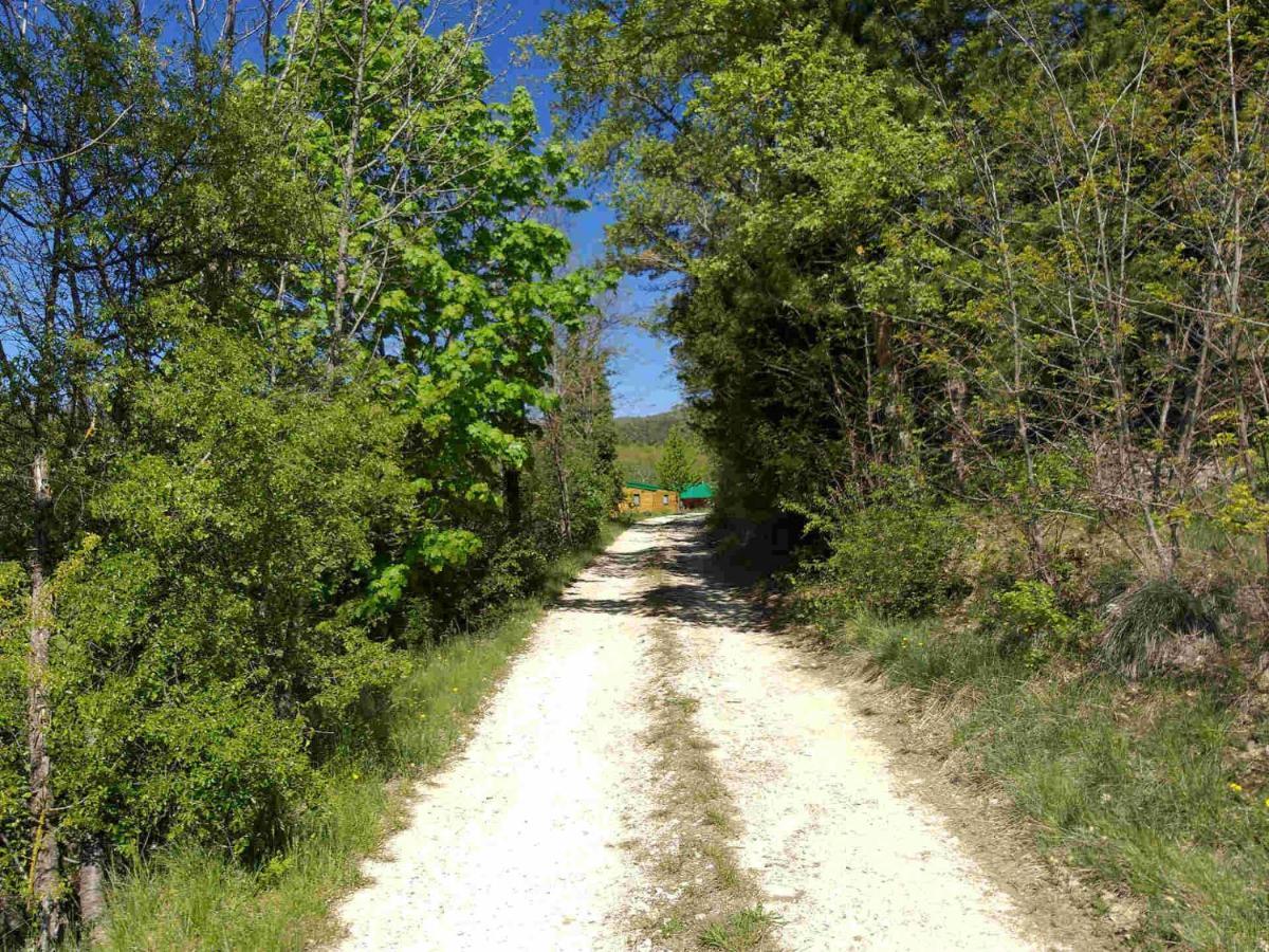 Les Chalets De Saint Maurice Dieulefit Bagian luar foto